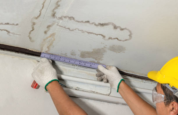 Reliable Water Damage contractor in Mountain Home, NC by Water Damage Irwin